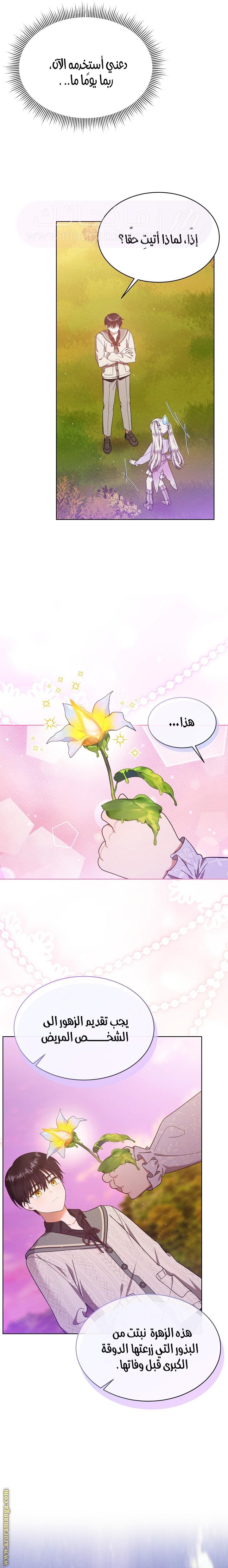 الصفحة 11