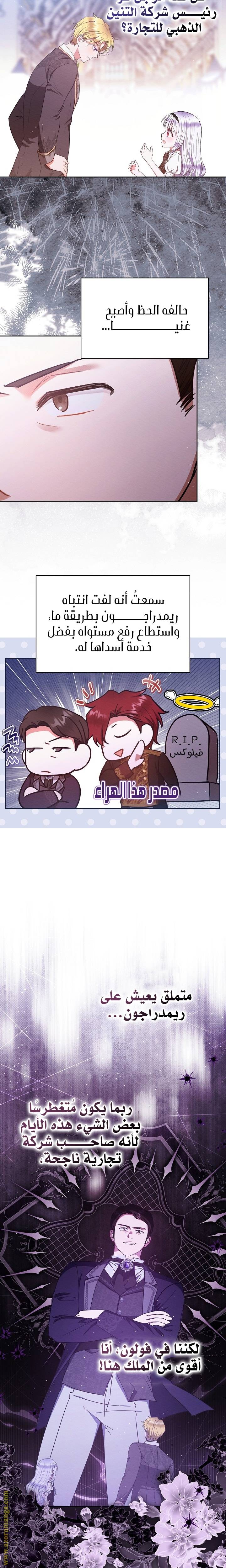 الصفحة 13
