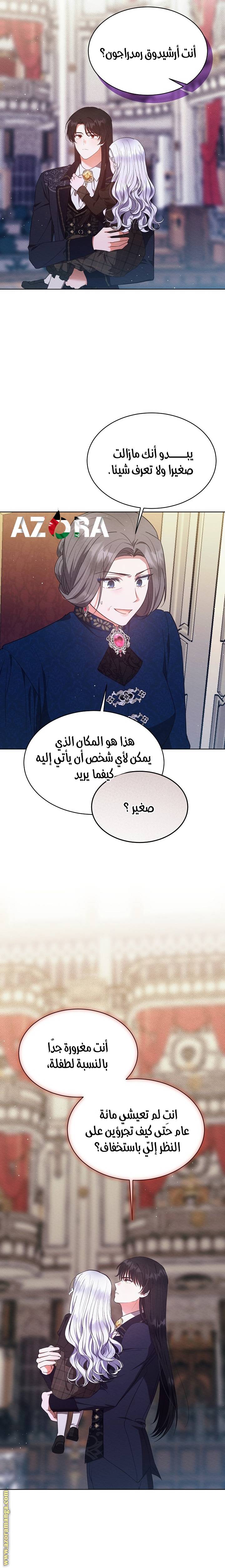 الصفحة 17