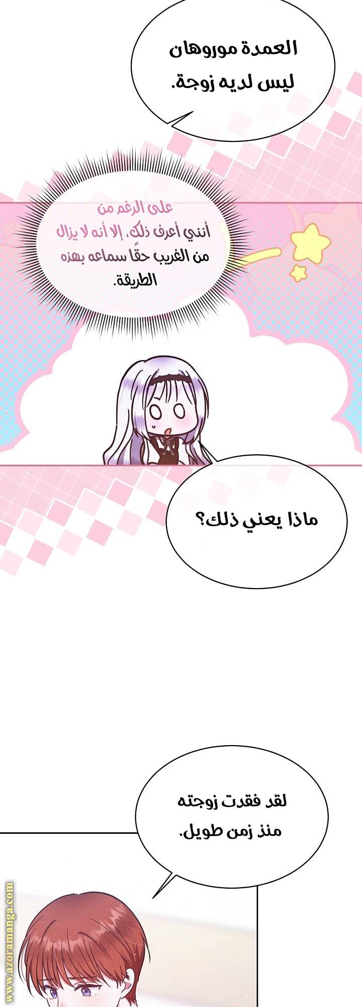 الصفحة 25