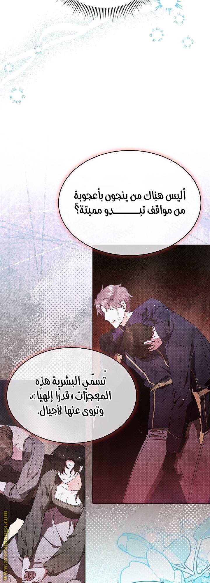 الصفحة 17