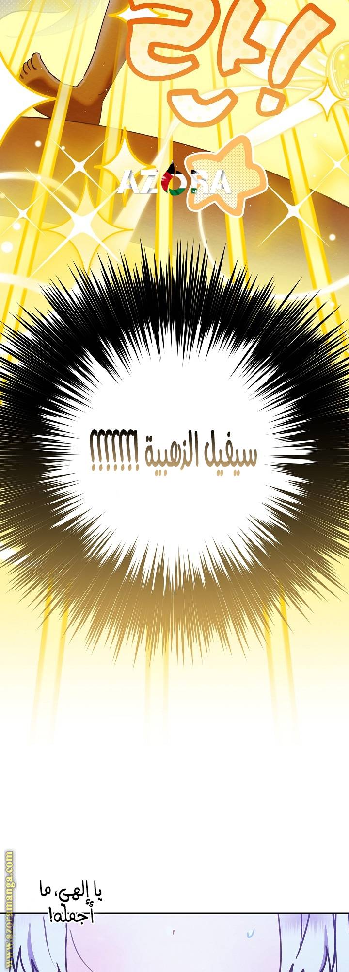 الصفحة 29