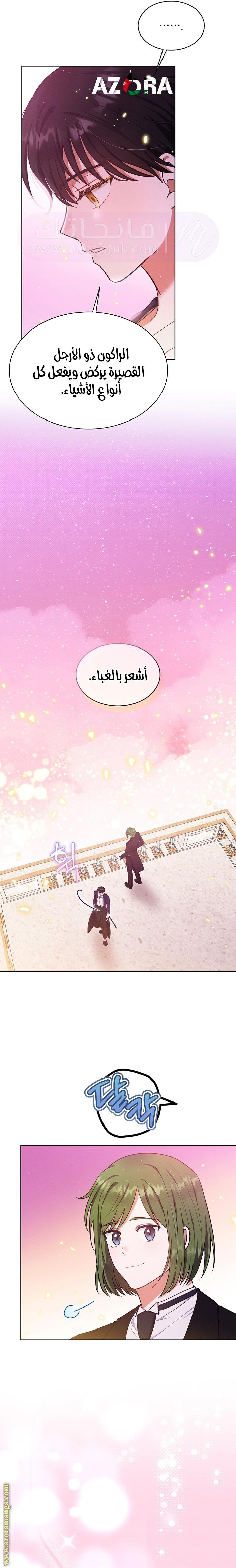 الصفحة 17
