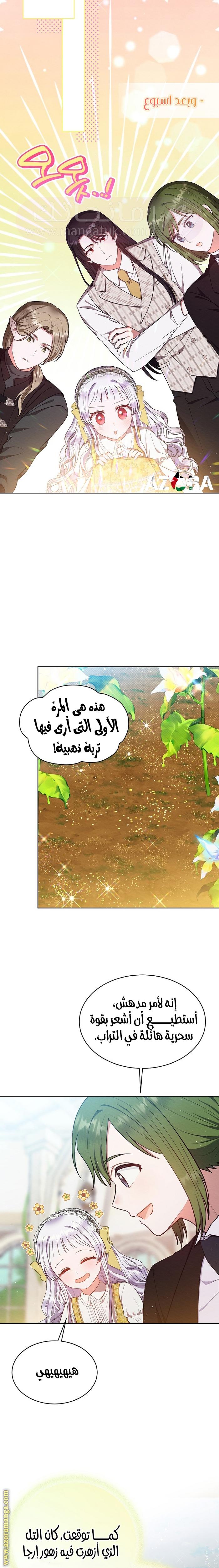 الصفحة 19