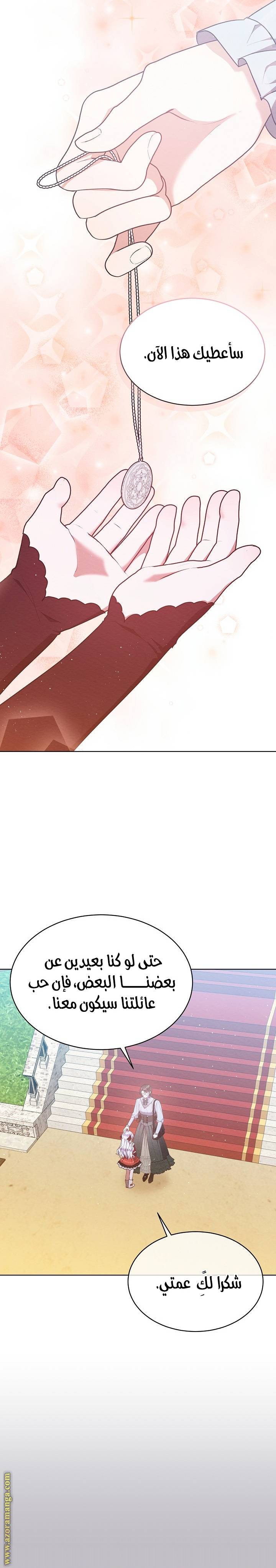 الصفحة 17