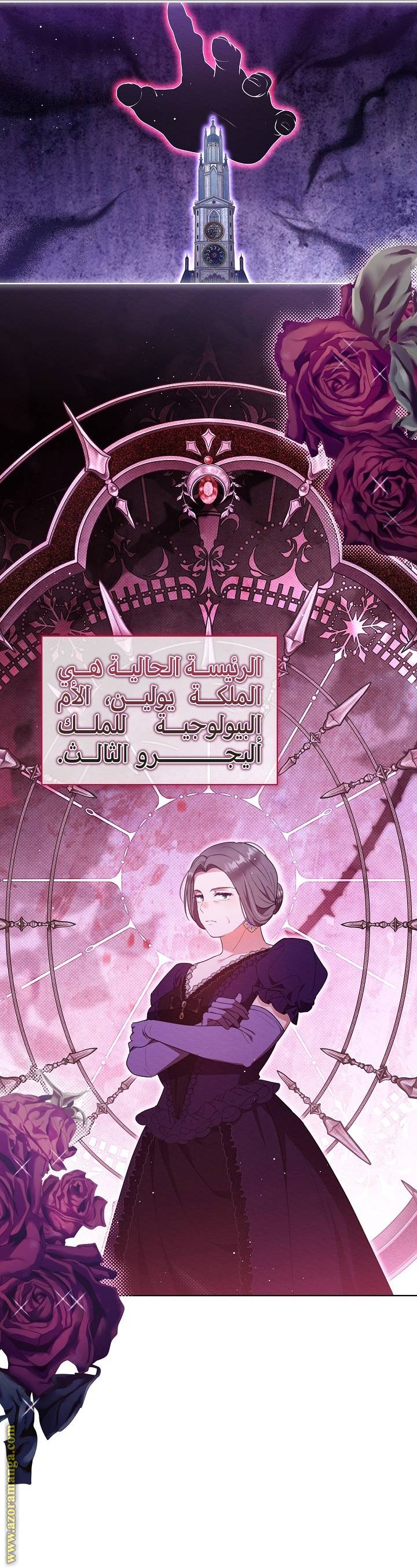الصفحة 20