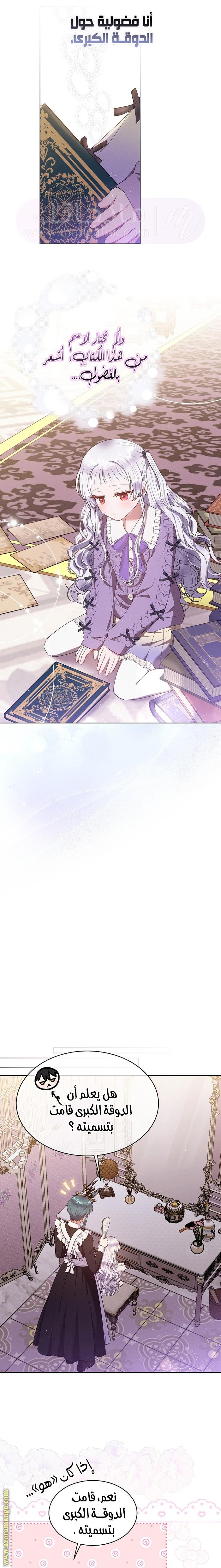 الصفحة 17