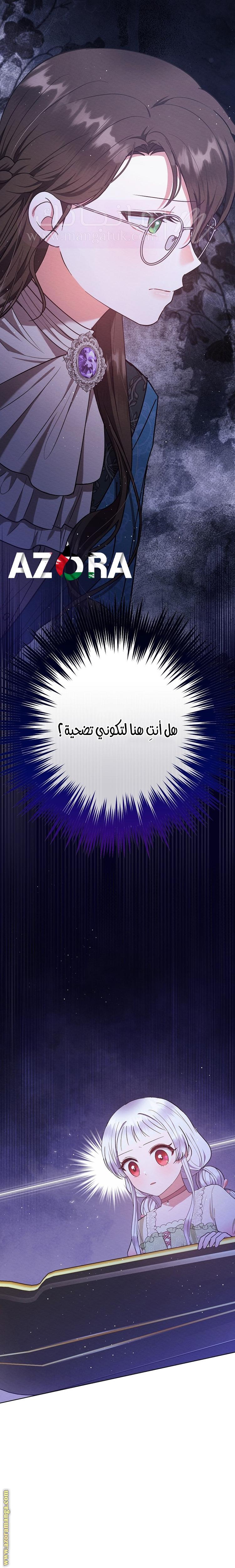 الصفحة 13