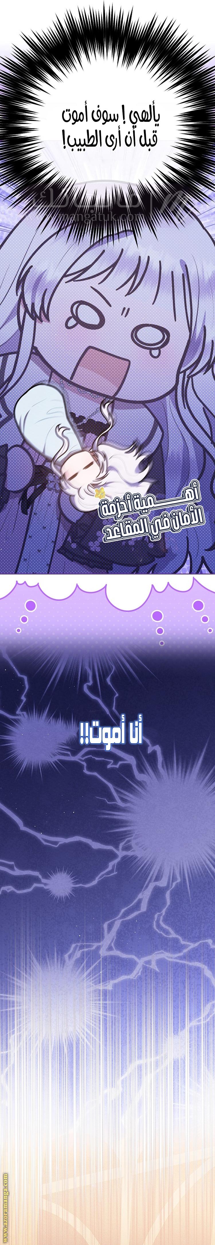 الصفحة 13