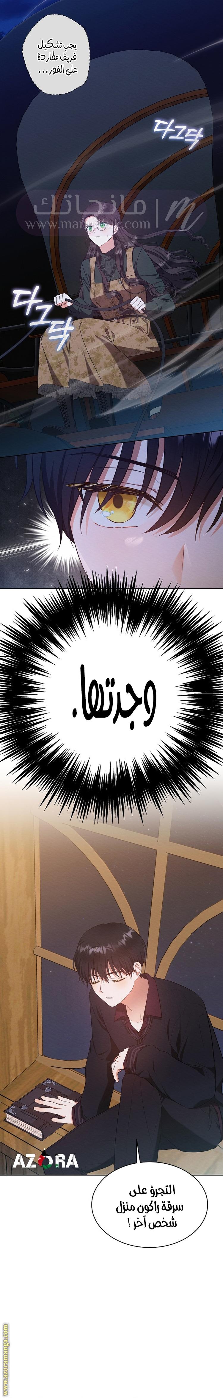 الصفحة 17