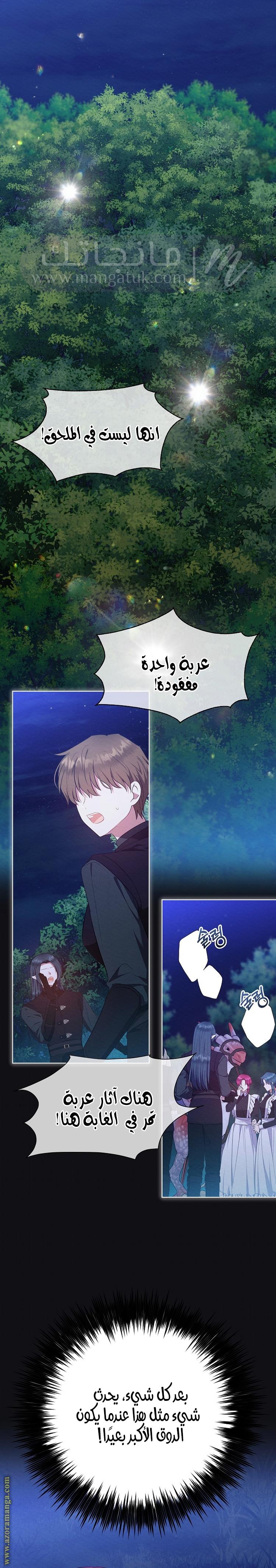 الصفحة 19