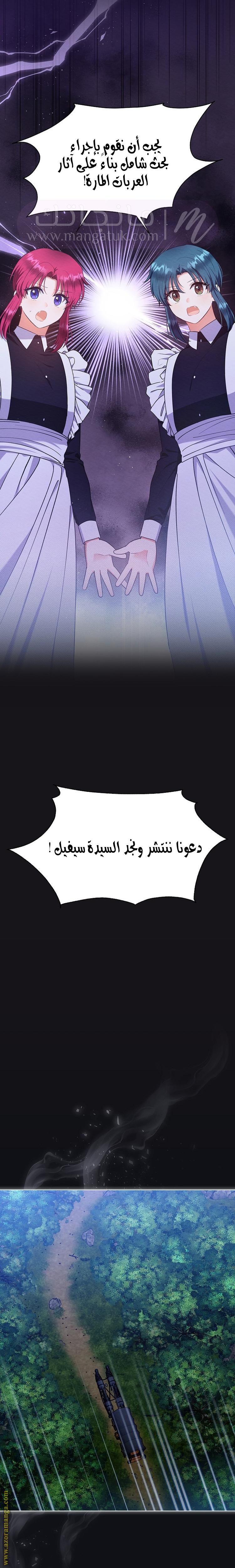 الصفحة 21
