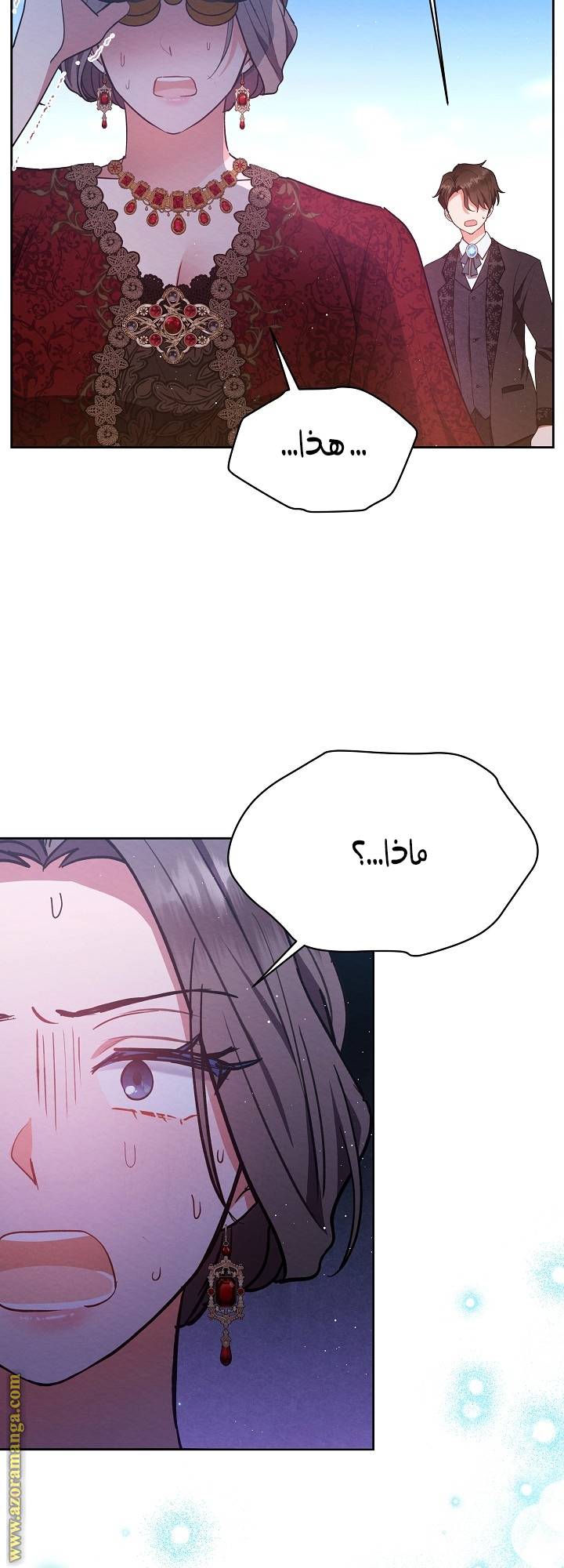 الصفحة 25