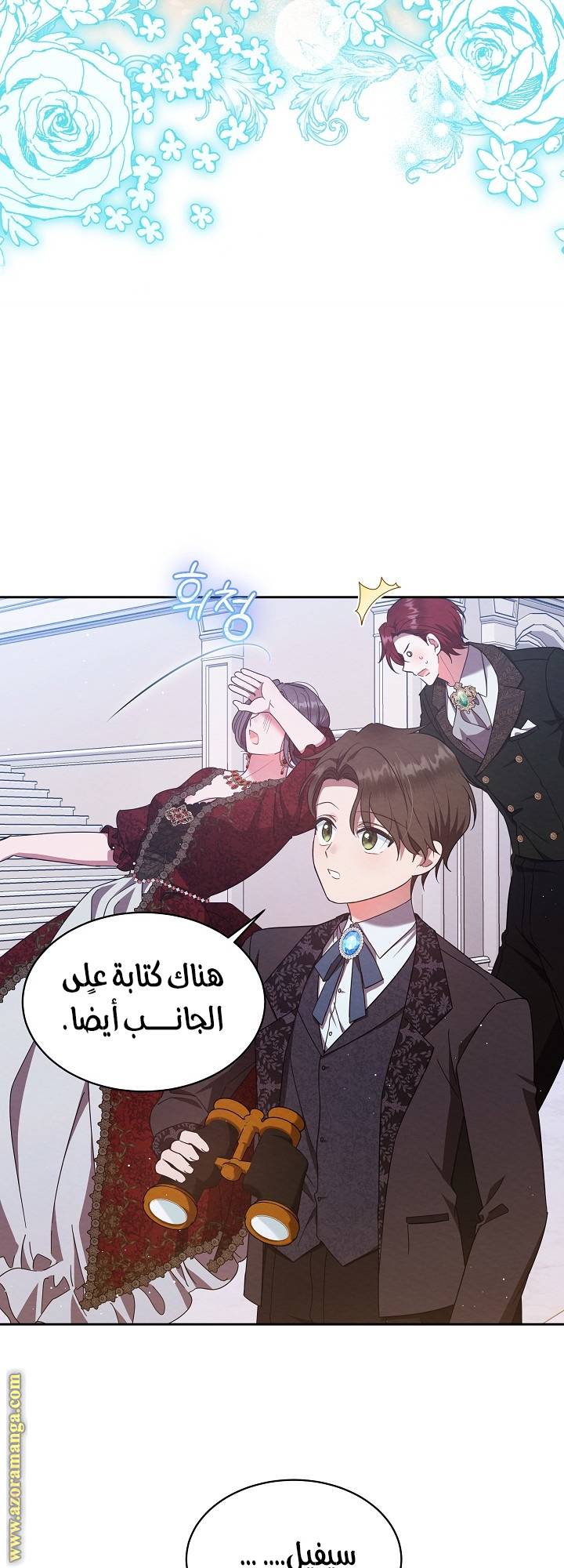 الصفحة 27