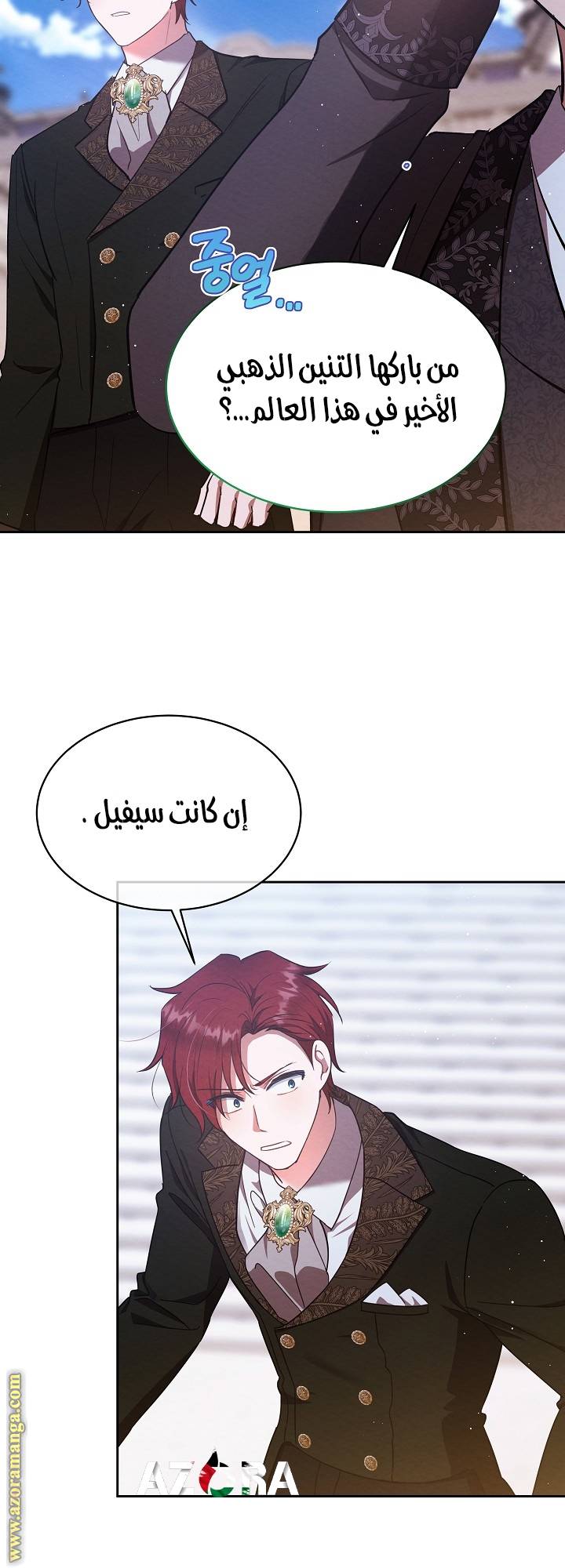 الصفحة 29