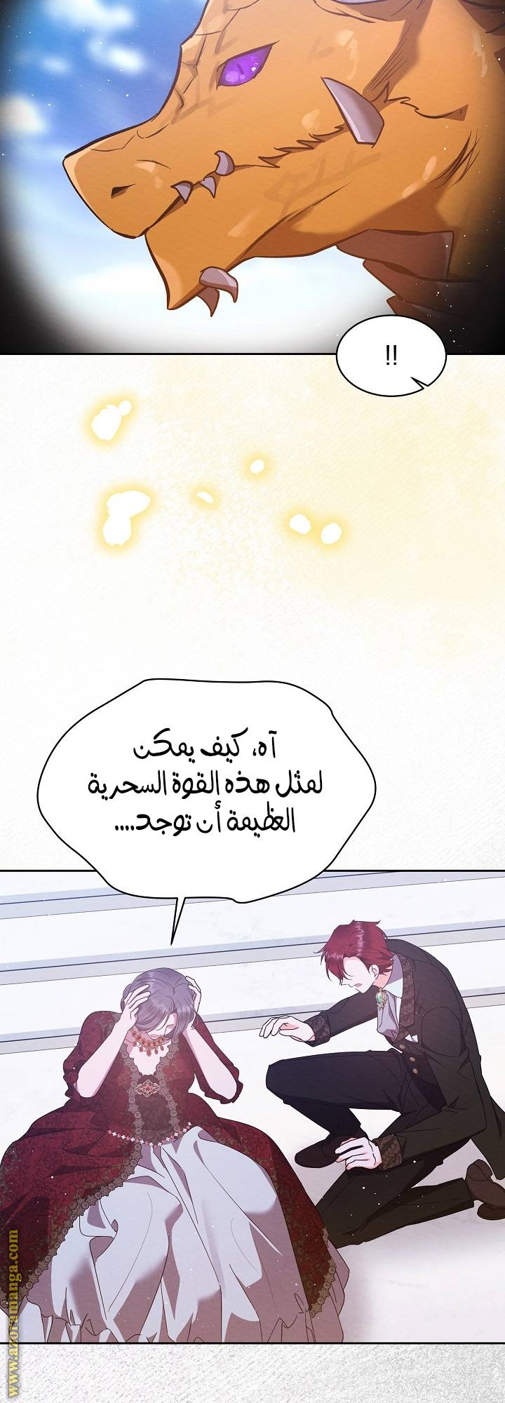 الصفحة 38