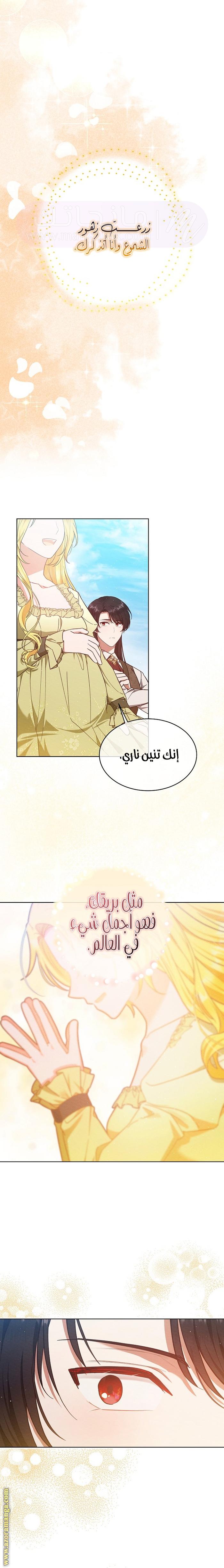 الصفحة 17