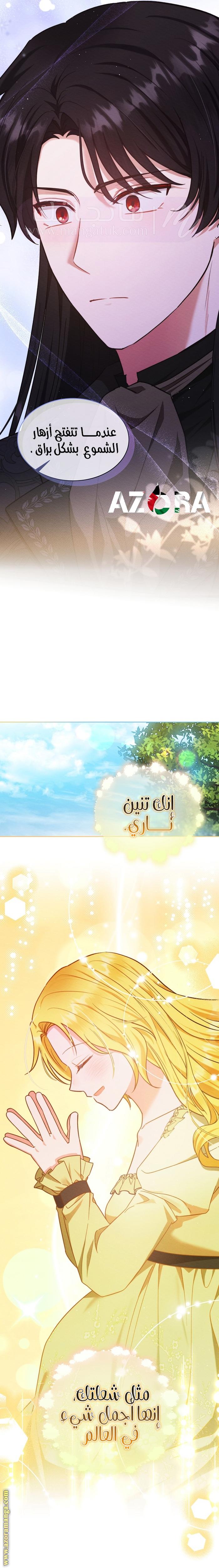 الصفحة 20