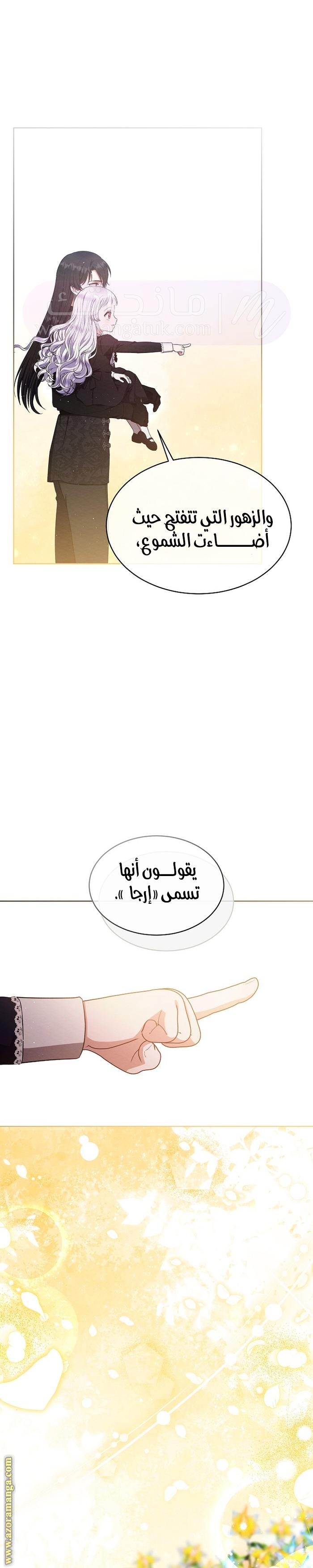 الصفحة 21