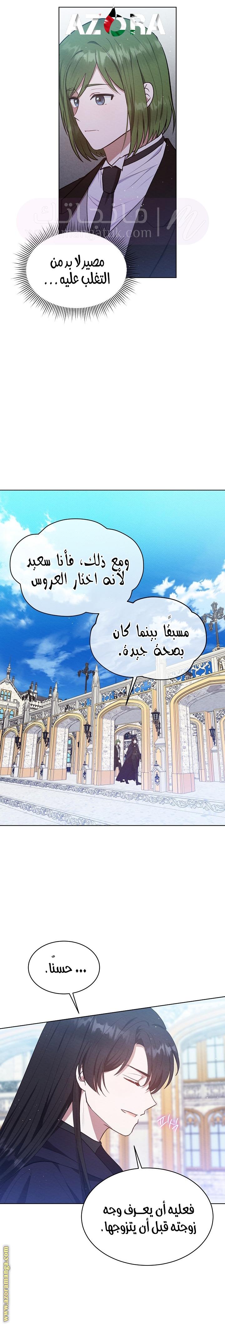 الصفحة 13