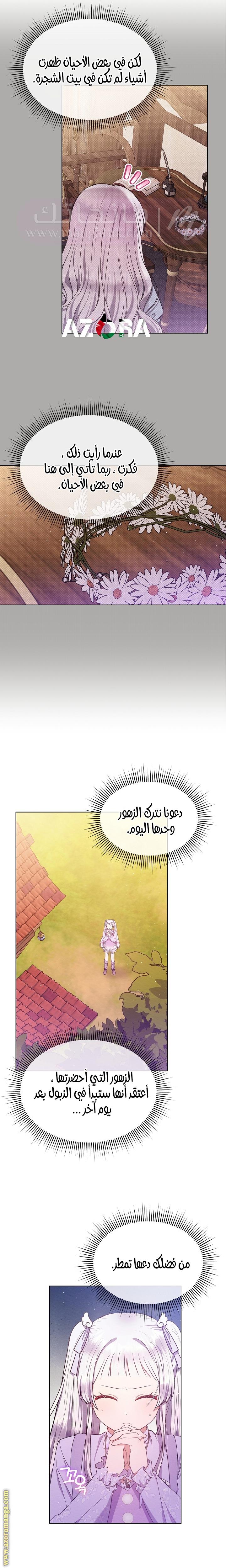الصفحة 17