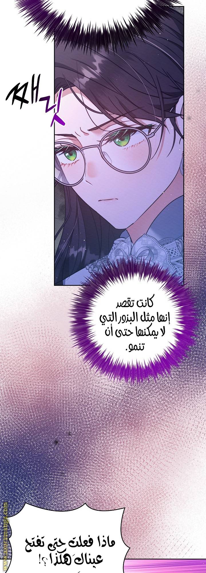 الصفحة 25