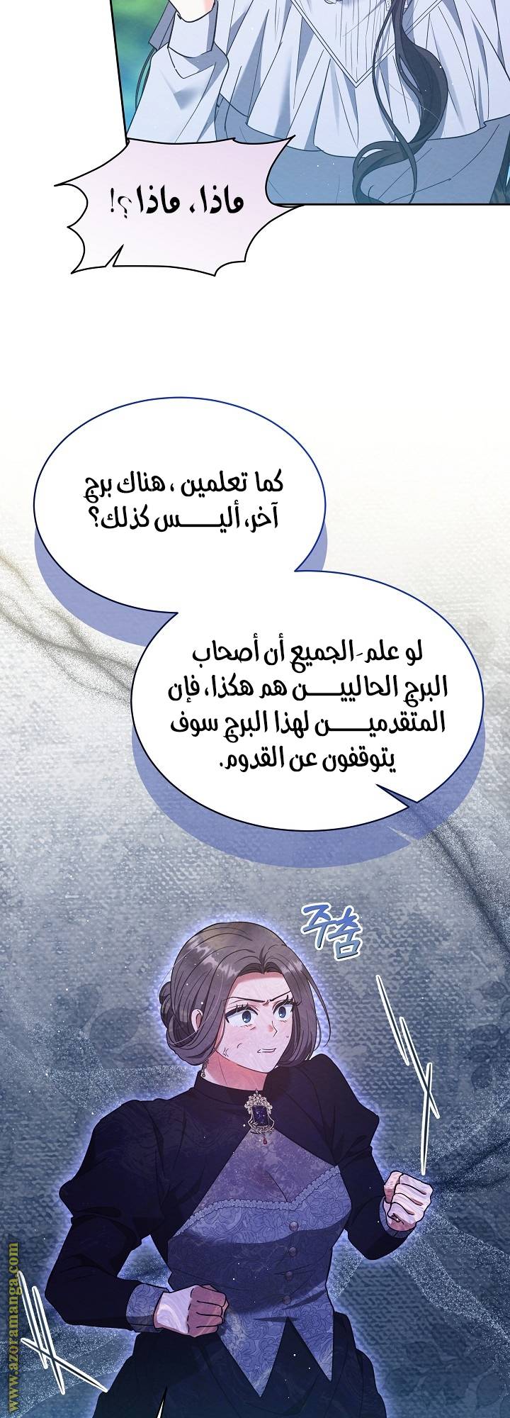 الصفحة 28