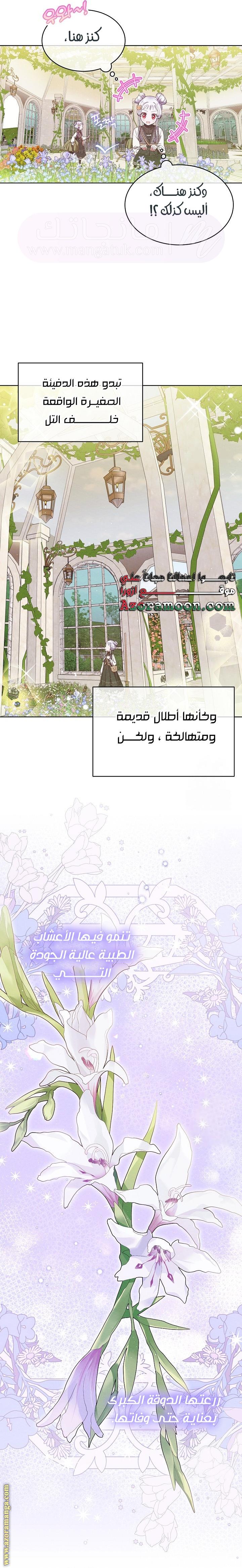 الصفحة 17