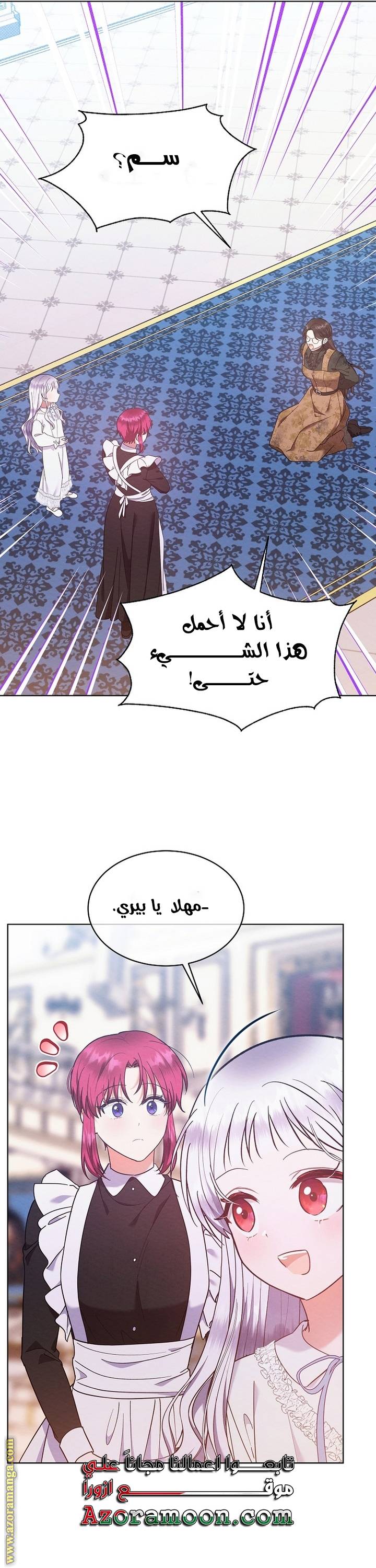 الصفحة 29