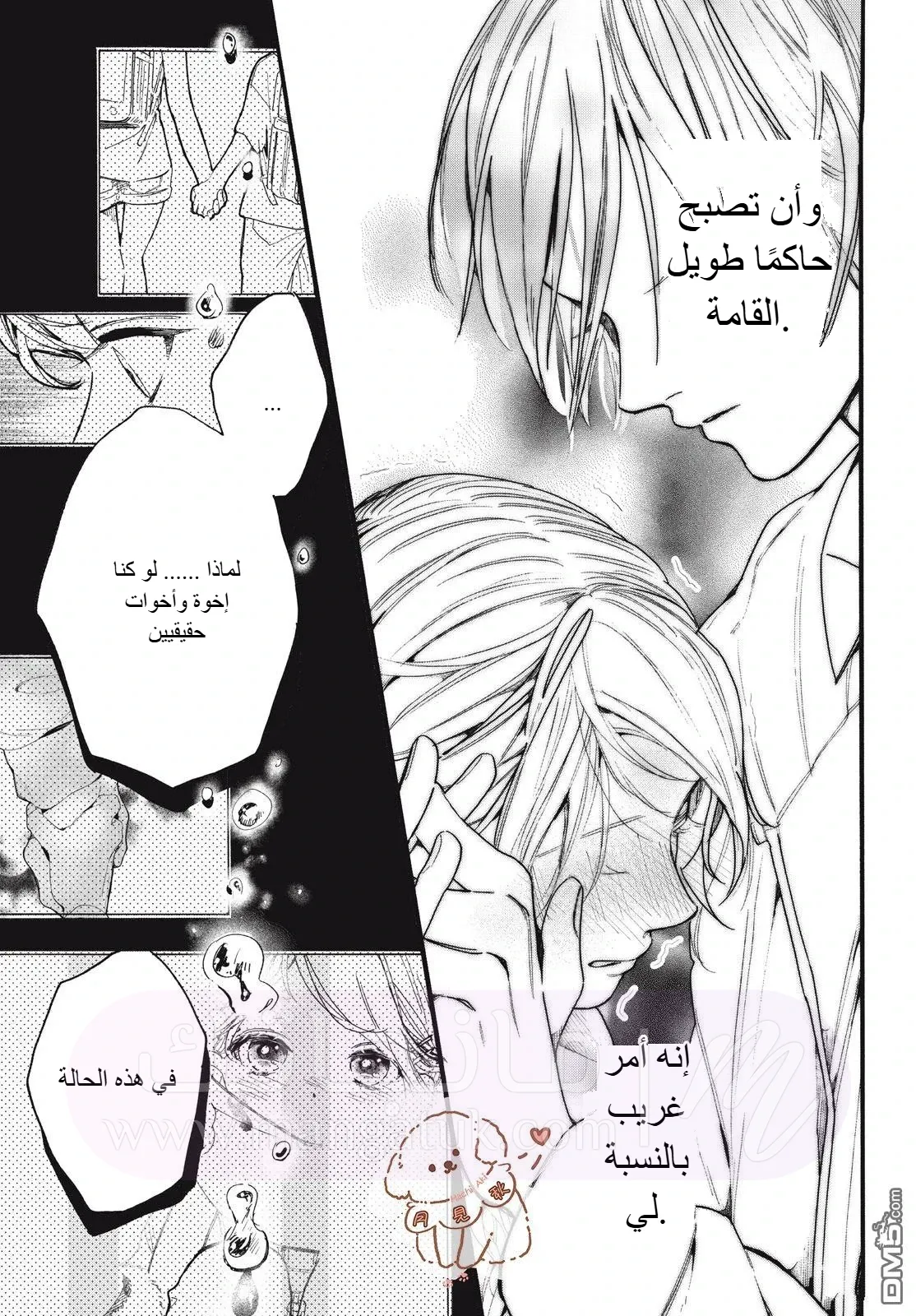 الصفحة 40