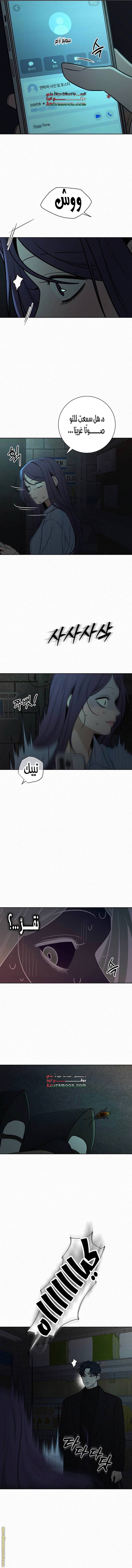 الصفحة 5