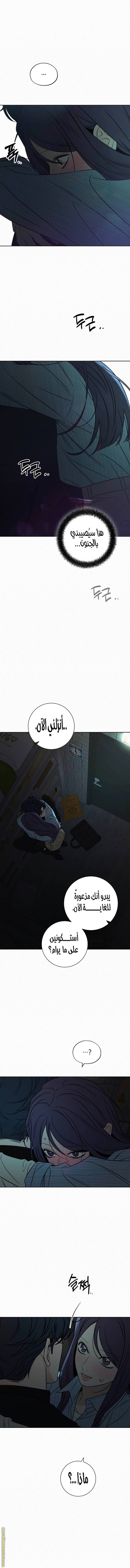 الصفحة 11