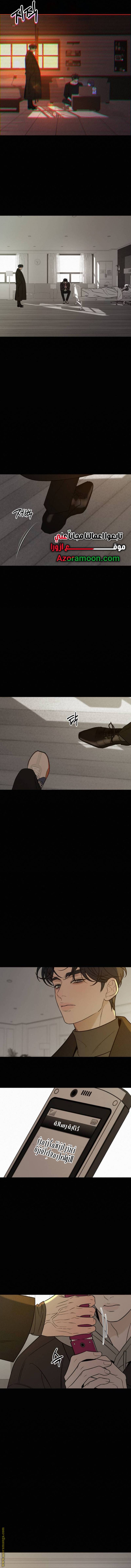 الصفحة 17