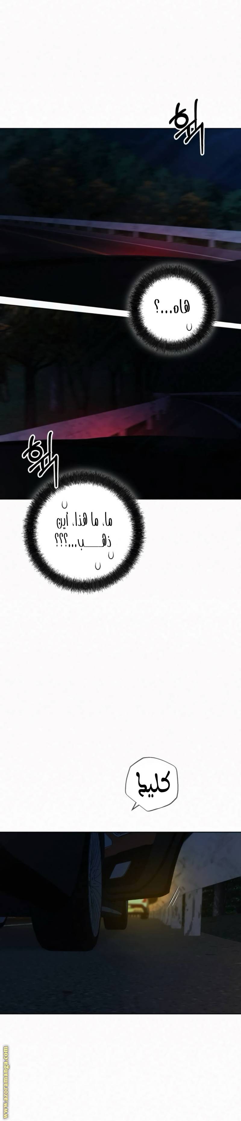 الصفحة 13