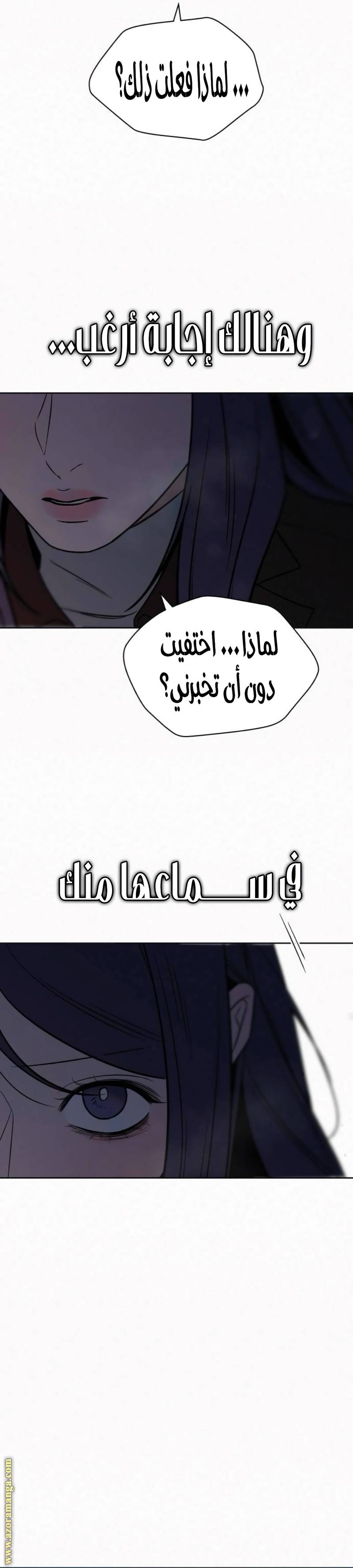 الصفحة 29