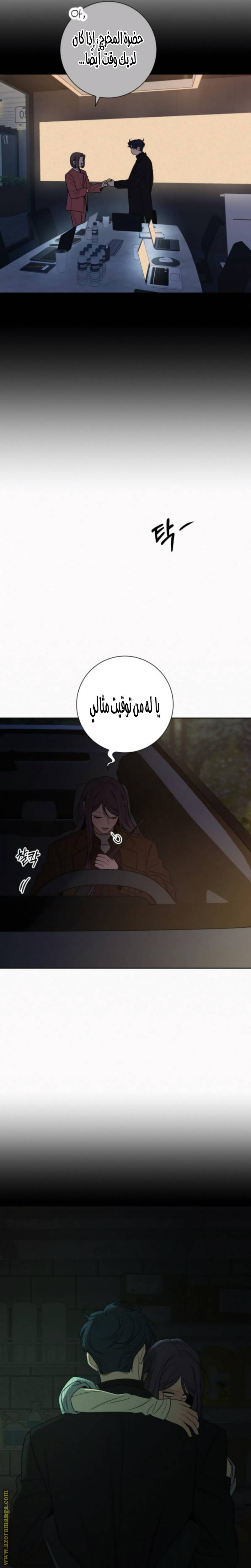 الصفحة 13