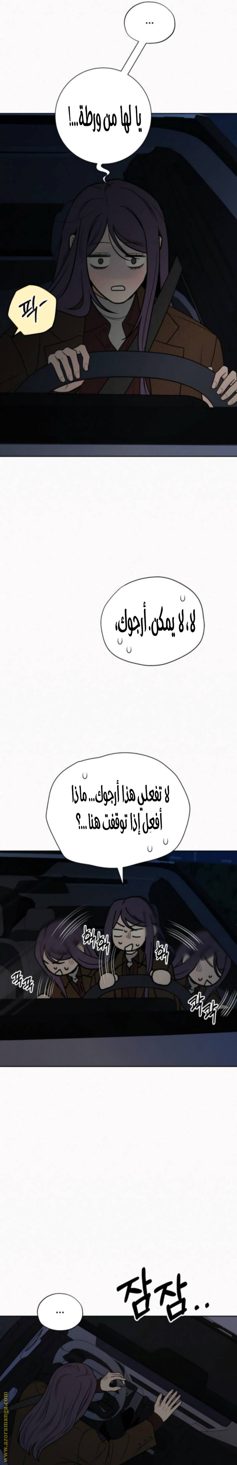 الصفحة 20
