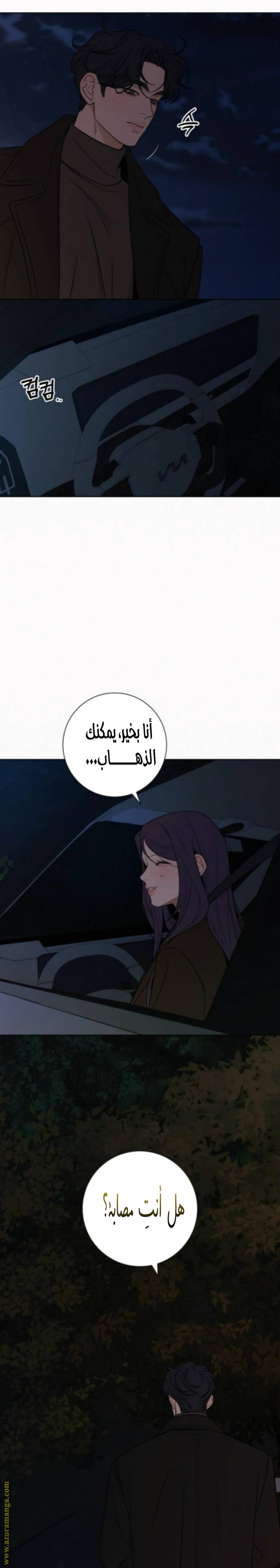 الصفحة 24