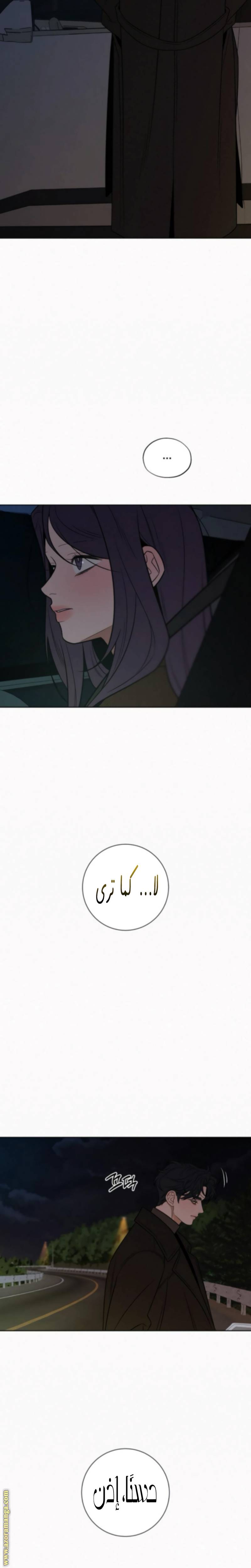 الصفحة 25