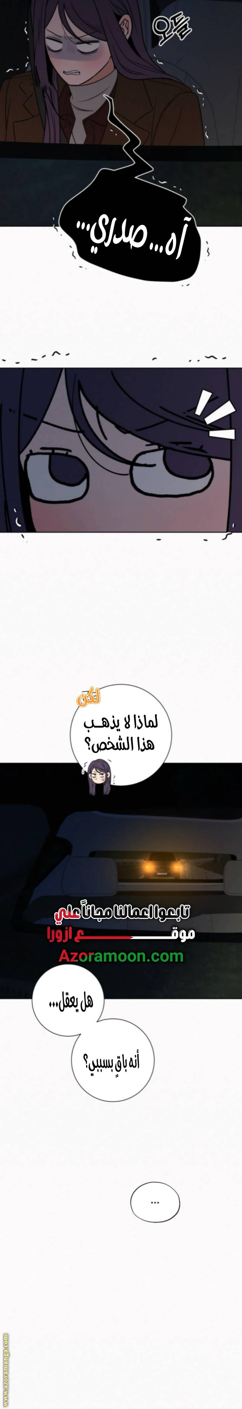 الصفحة 28