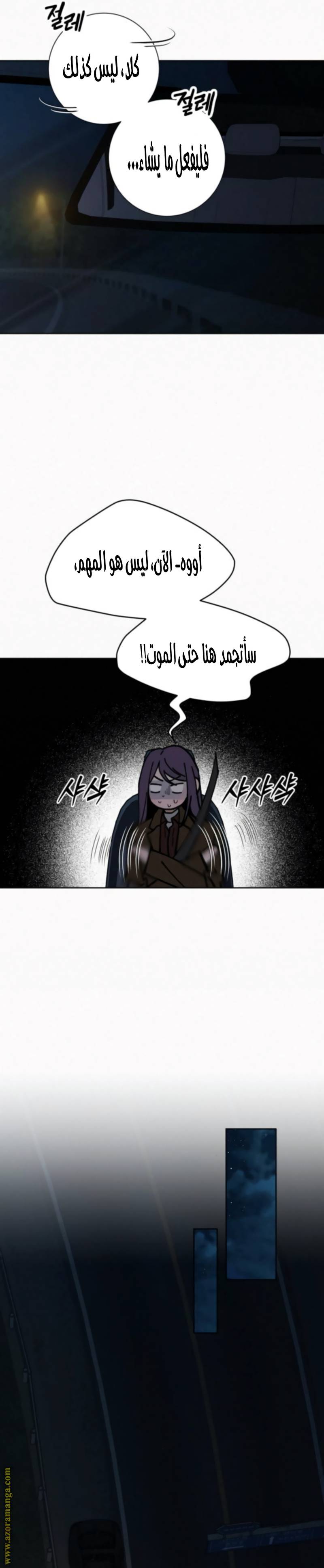 الصفحة 29