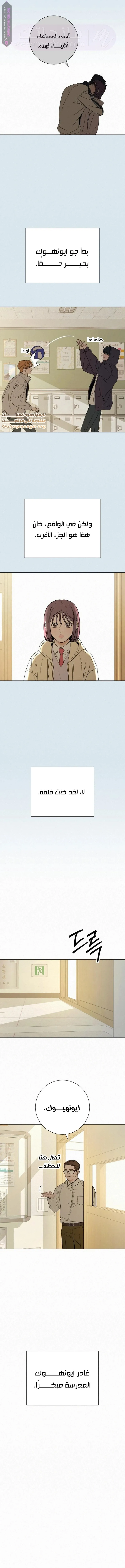 الصفحة 13
