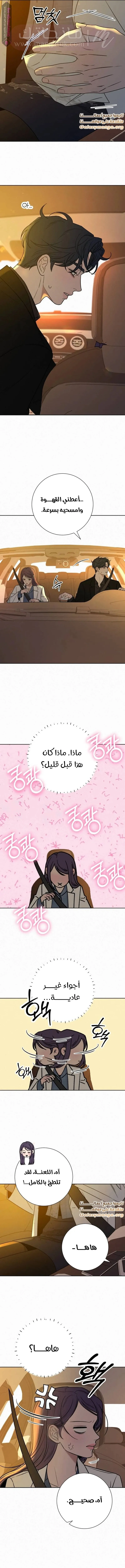 الصفحة 14