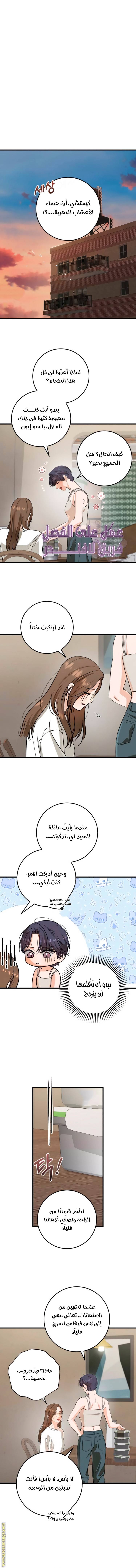 الصفحة 10