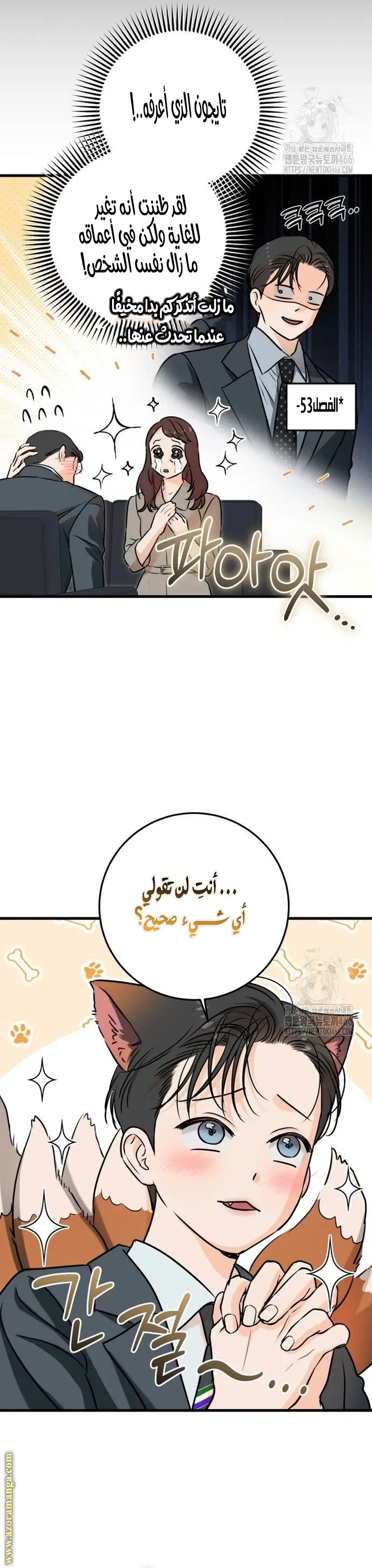 الصفحة 19