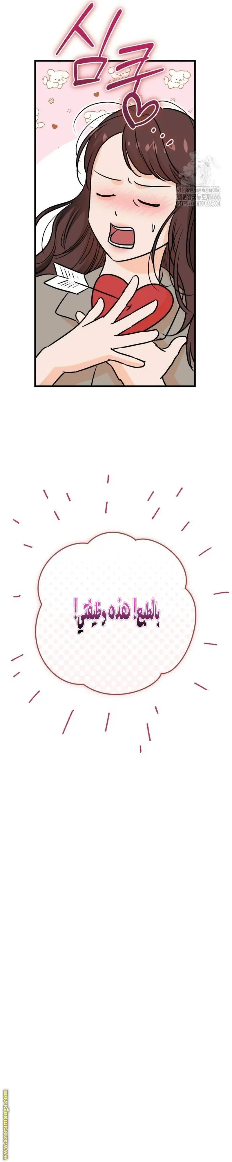الصفحة 20