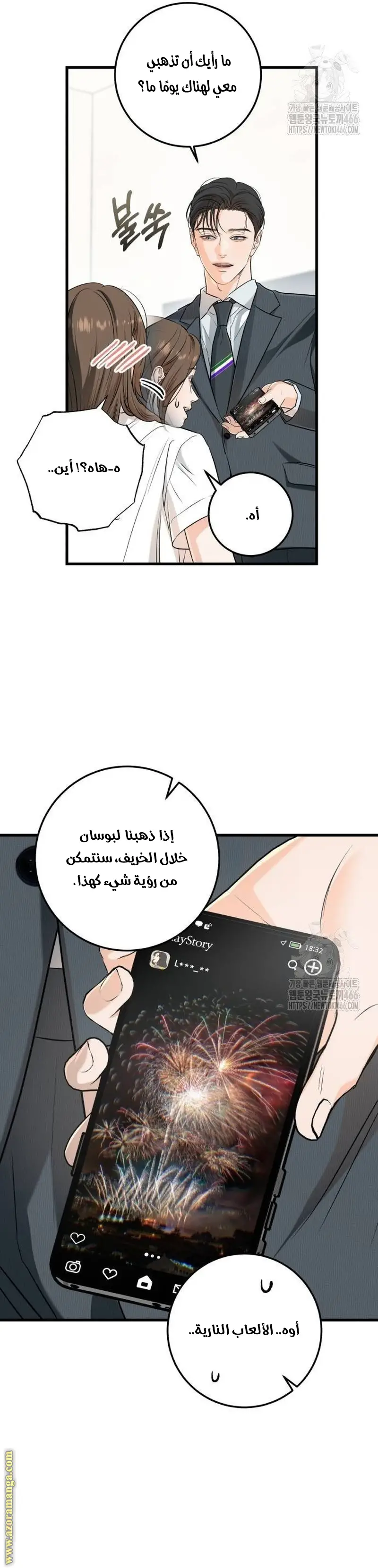 الصفحة 27