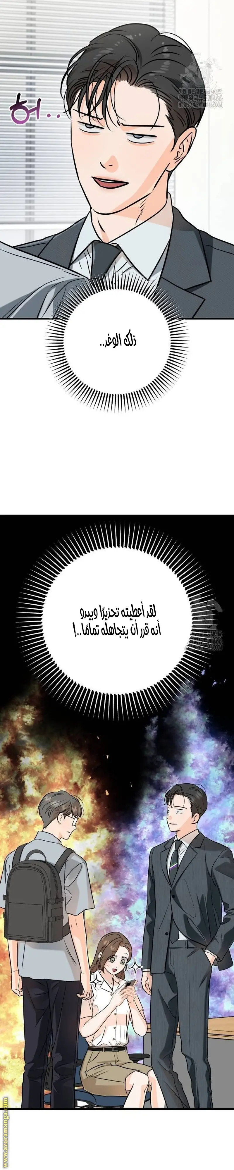 الصفحة 33