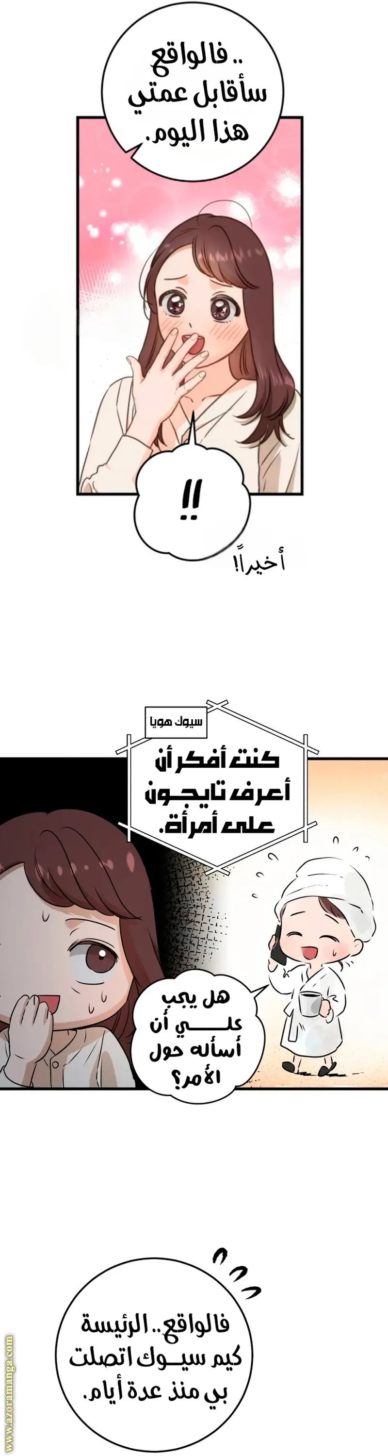 الصفحة 3