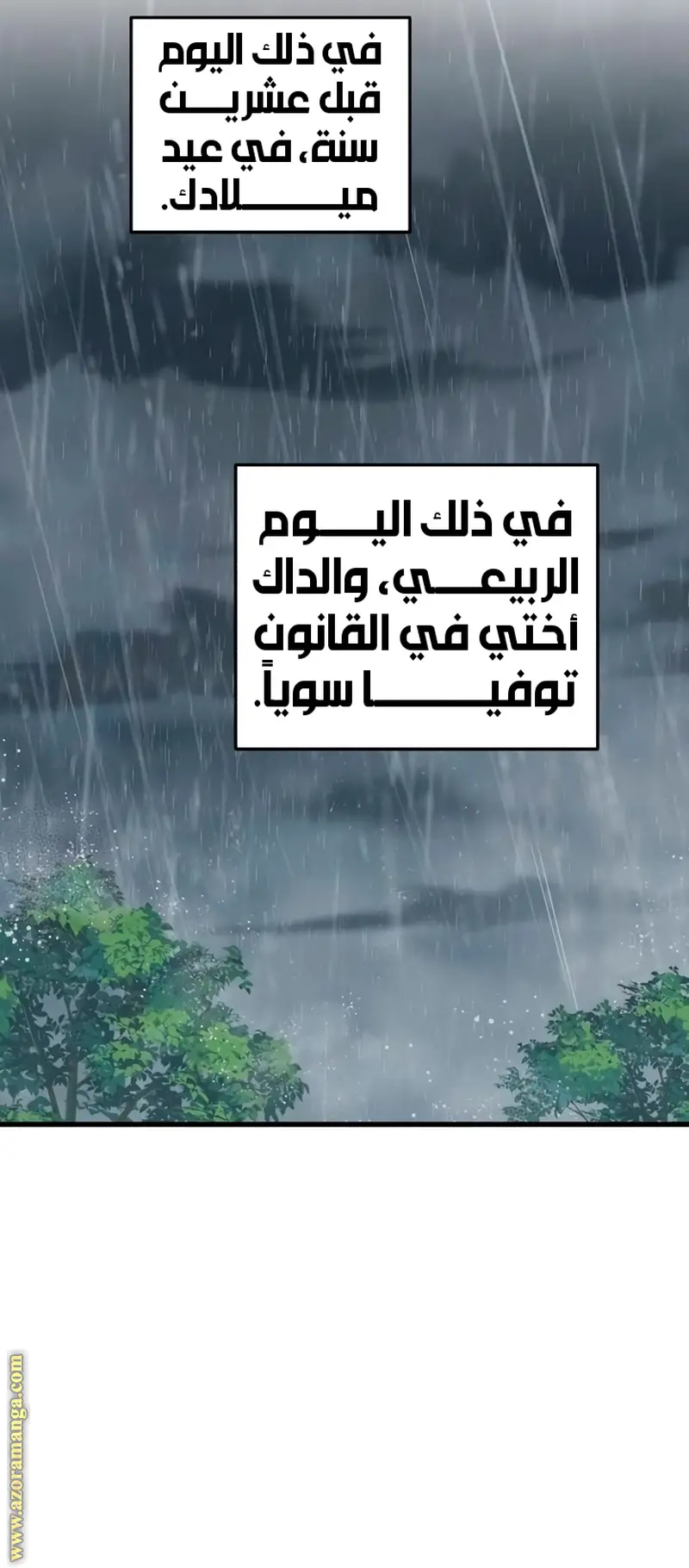 الصفحة 29